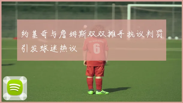 约基奇与詹姆斯双双摊手抗议判罚引发球迷热议